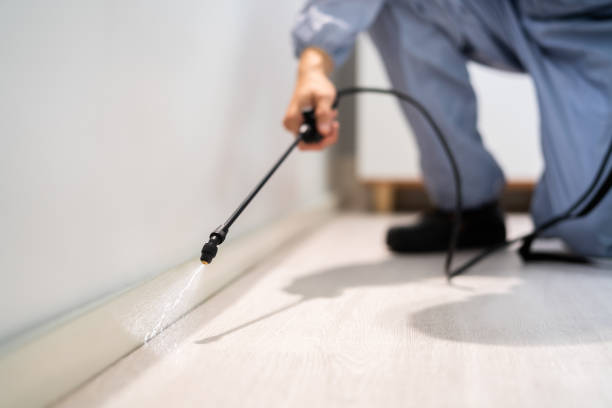 Licensed Mosquito Control service in Hampden-Sydney, VA - Show Me Pest Control