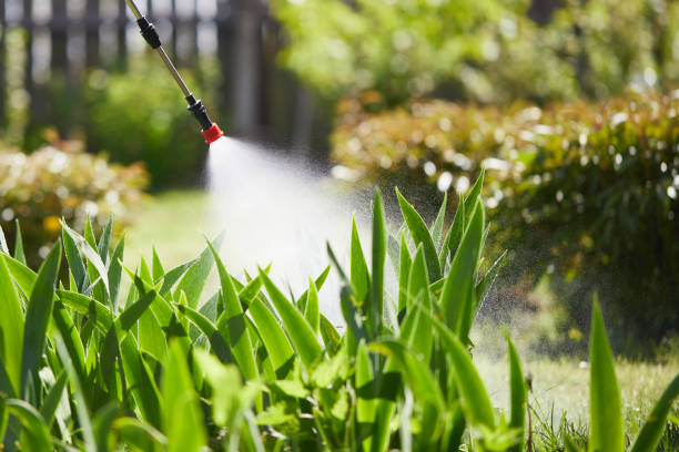 24/7 Emergency Mosquito Control experts in Hampden-Sydney, VA