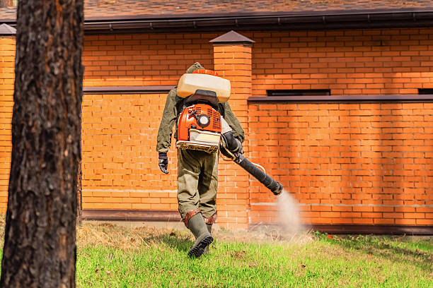 Top rated local Mosquito Control specialists in Hampden-Sydney, VA